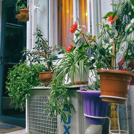 Apartment On Freedom Square Diuma Street 트빌리시 외부 사진